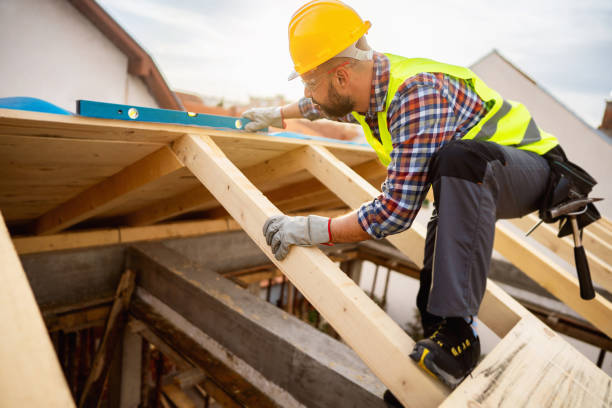 Best Roof Gutter Cleaning  in Roanoke, TX